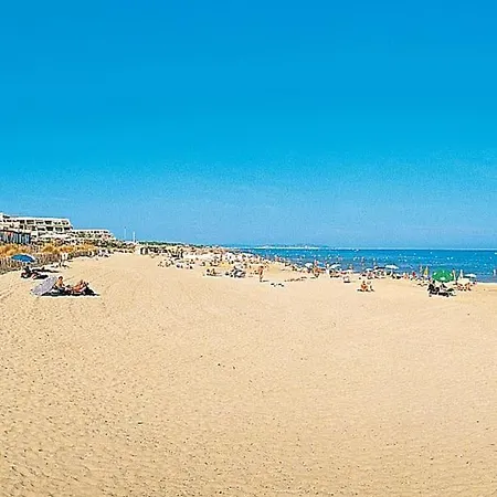 公寓 Confortable Grande Terrasse Piscine Parking Clim 阿格德