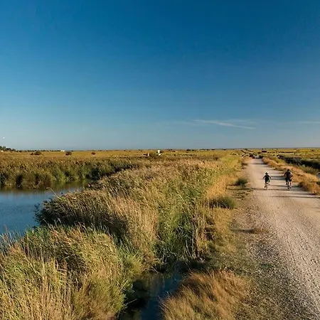 公寓 Confortable Grande Terrasse Piscine Parking Clim