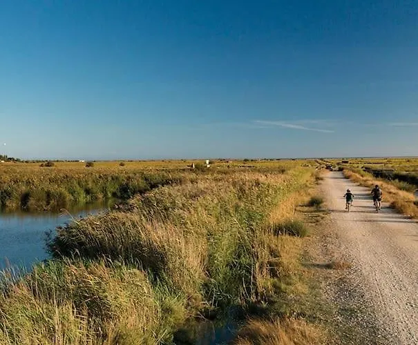 アパート Confortable Grande Terrasse Piscine Parking Clim